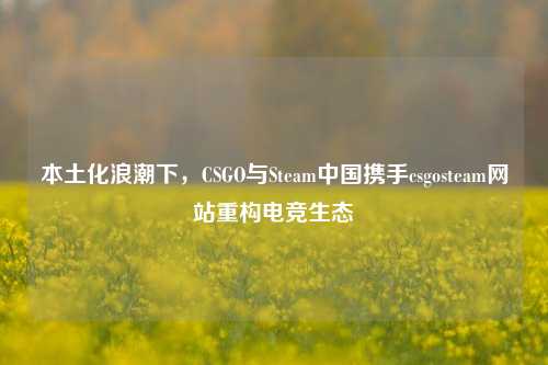 本土化浪潮下，CSGO与Steam中国携手csgosteam网站重构电竞生态