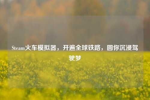 Steam火车模拟器,开遍全球铁路,圆你沉浸驾驶梦