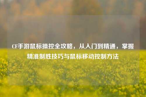 CF手游鼠标操控全攻略，从入门到精通，掌握精准制胜技巧与鼠标移动控制方法