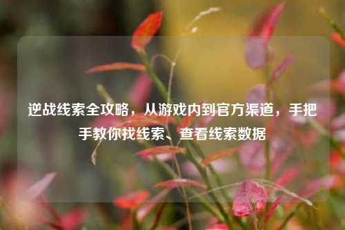 逆战线索全攻略,从游戏内到官方渠道,手把手教你找线索、查看线索数据