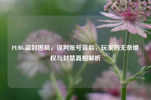 PUBG盗封困局,误判账号背后,玩家的无奈维权与封禁真相解析