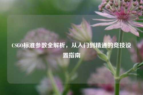 CSGO标准参数全解析,从入门到精通的竞技设置指南
