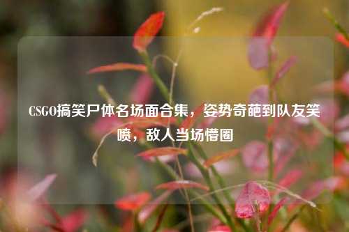 CSGO搞笑尸体名场面合集,姿势奇葩到队友笑喷,敌人当场懵圈