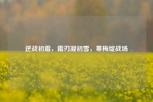 逆战初霜，霜刃凝初雪，寒梅绽战场