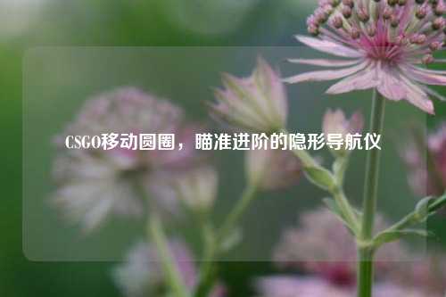 CSGO移动圆圈,瞄准进阶的隐形导航仪