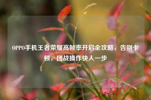 OPPO手机王者荣耀高帧率开启全攻略,告别卡顿,团战操作快人一步