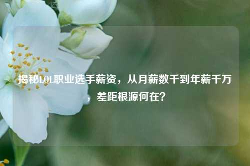 揭秘LOL职业选手薪资,从月薪数千到年薪千万,差距根源何在?