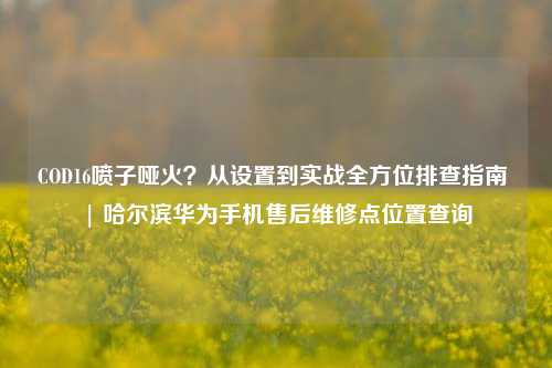 COD16喷子哑火？从设置到实战全方位排查指南 | 哈尔滨华为手机售后维修点位置查询