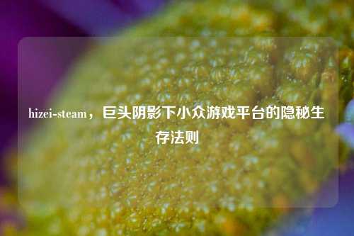 hizei-steam,巨头阴影下小众游戏平台的隐秘生存法则