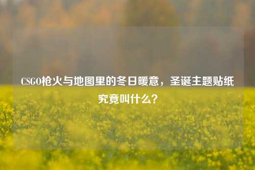 CSGO枪火与地图里的冬日暖意，圣诞主题贴纸究竟叫什么？