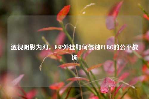 透视阴影为刃,ESP外挂如何侵蚀PUBG的公平战场