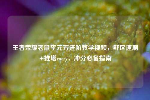 王者荣耀老鼠李元芳进阶教学视频,野区速刷+推塔carry,冲分必备指南