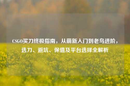 CSGO买刀终极指南,从萌新入门到老鸟进阶,选刀、避坑、保值及平台选择全解析