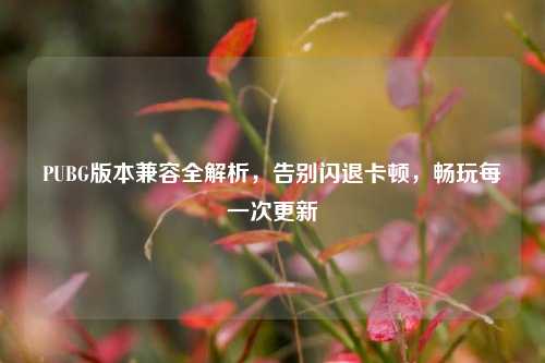 PUBG版本兼容全解析,告别闪退卡顿,畅玩每一次更新