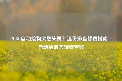 PUBG自动捡物突然失灵？这份排查修复指南+自动拾取答疑请查收
