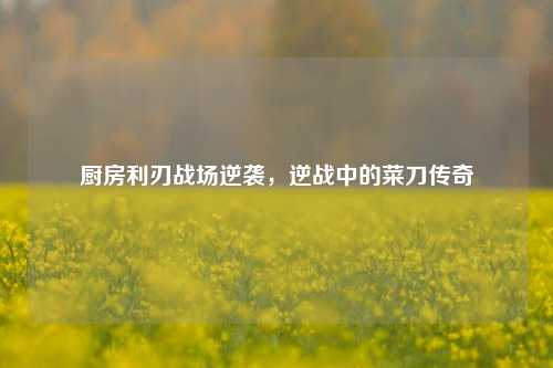 厨房利刃战场逆袭,逆战中的菜刀传奇