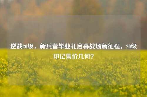 逆战20级,新兵营毕业礼启幕战场新征程,20级印记售价几何?