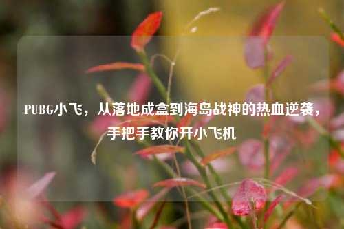 PUBG小飞,从落地成盒到海岛战神的热血逆袭,手把手教你开小飞机