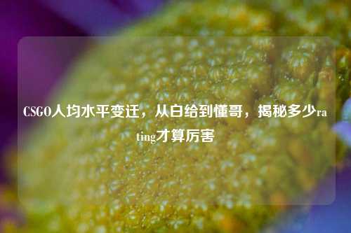 CSGO人均水平变迁,从白给到懂哥,揭秘多少rating才算厉害