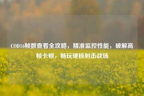 COD16帧数查看全攻略，精准监控性能，破解高帧卡顿，畅玩硬核射击战场
