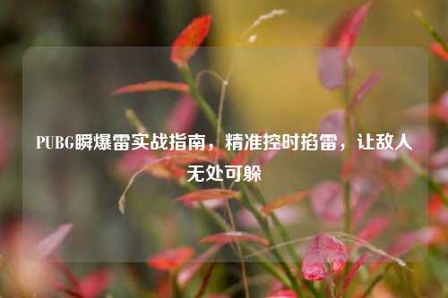 PUBG瞬爆雷实战指南,精准控时掐雷,让敌人无处可躲