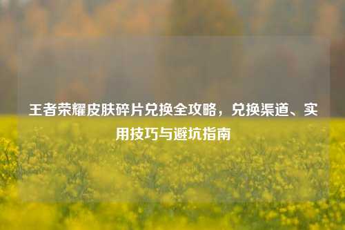 王者荣耀皮肤碎片兑换全攻略，兑换渠道、实用技巧与避坑指南