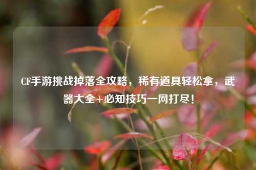 CF手游挑战掉落全攻略,稀有道具轻松拿,武器大全+必知技巧一网打尽!