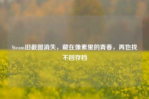 Steam旧截图消失,藏在像素里的青春,再也找不回存档