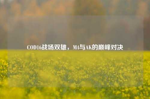 COD16战场双雄,M4与AK的巅峰对决