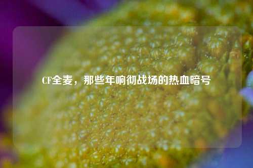 CF全麦,那些年响彻战场的热血暗号