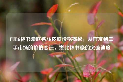 PUBG林书豪联名AK皮肤价格揭秘，从首发到二手市场的价值变迁，堪比林书豪的突破速度