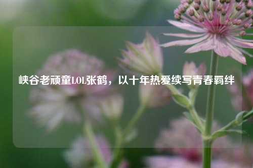 峡谷老顽童LOL张鹤,以十年热爱续写青春羁绊