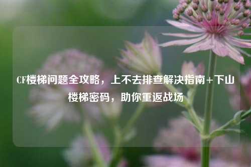 CF楼梯问题全攻略，上不去排查解决指南+下山楼梯密码，助你重返战场