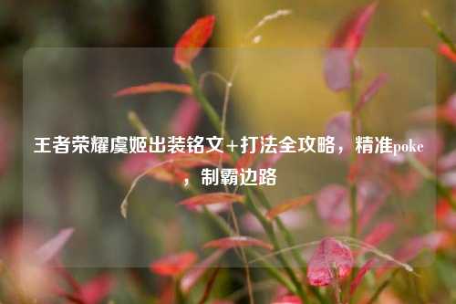 王者荣耀虞姬出装铭文+打法全攻略,精准poke,制霸边路