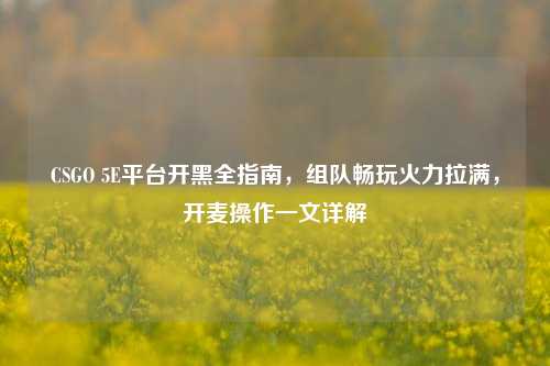 CSGO 5E平台开黑全指南,组队畅玩火力拉满,开麦操作一文详解