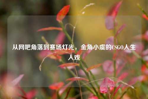 从网吧角落到赛场灯光,金角小虞的CSGO人生入戏