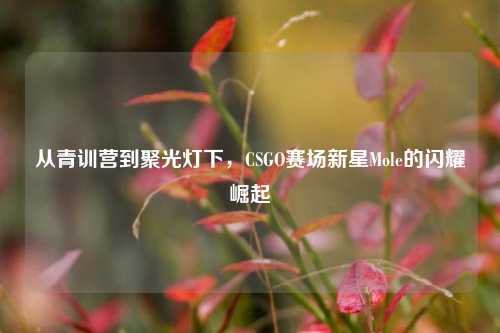 从青训营到聚光灯下,CSGO赛场新星Mole的闪耀崛起