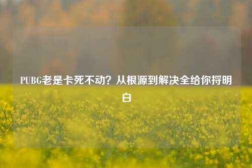 PUBG老是卡死不动？从根源到解决全给你捋明白
