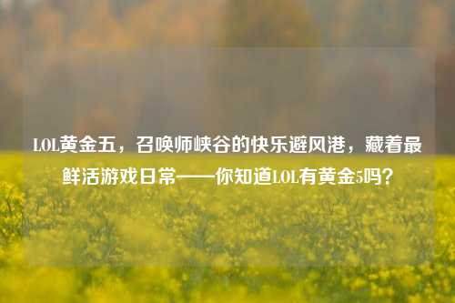 LOL黄金五,召唤师峡谷的快乐避风港,藏着最鲜活游戏日常——你知道LOL有黄金5吗?