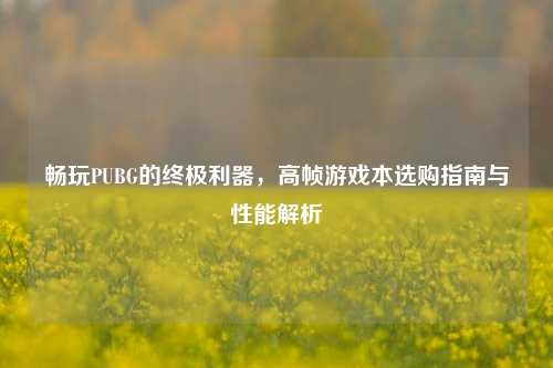 畅玩PUBG的终极利器,高帧游戏本选购指南与性能解析
