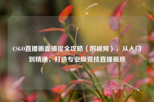 CSGO直播画面捕捉全攻略(附视频),从入门到精通,打造专业级竞技直播画质