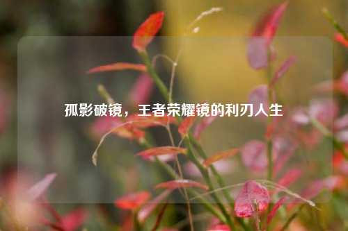 孤影破镜,王者荣耀镜的利刃人生