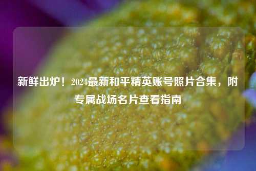 新鲜出炉!2024最新和平精英账号照片合集,附专属战场名片查看指南