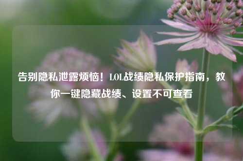 告别隐私泄露烦恼！LOL战绩隐私保护指南，教你一键隐藏战绩、设置不可查看