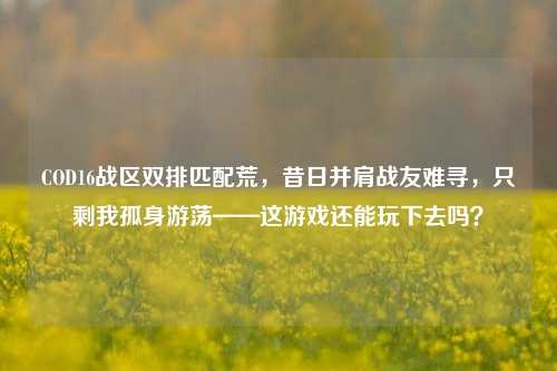COD16战区双排匹配荒,昔日并肩战友难寻,只剩我孤身游荡——这游戏还能玩下去吗?