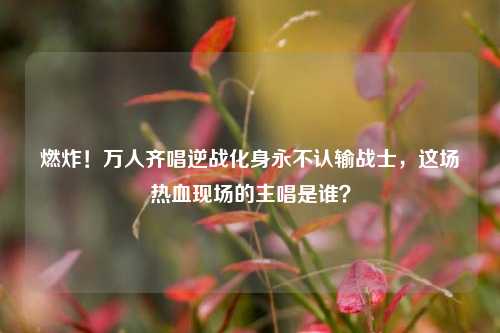 燃炸!万人齐唱逆战化身永不认输战士,这场热血现场的主唱是谁?