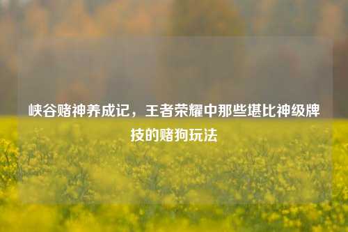 峡谷赌神养成记,王者荣耀中那些堪比神级牌技的赌狗玩法