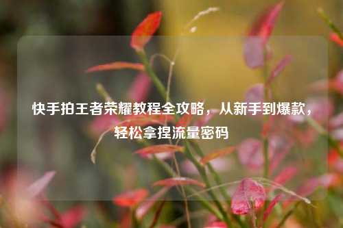 快手拍王者荣耀教程全攻略,从新手到爆款,轻松拿捏流量密码