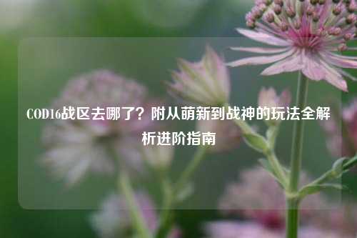 COD16战区去哪了？附从萌新到战神的玩法全解析进阶指南