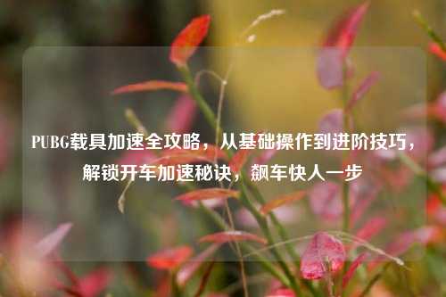 PUBG载具加速全攻略，从基础操作到进阶技巧，解锁开车加速秘诀，飙车快人一步